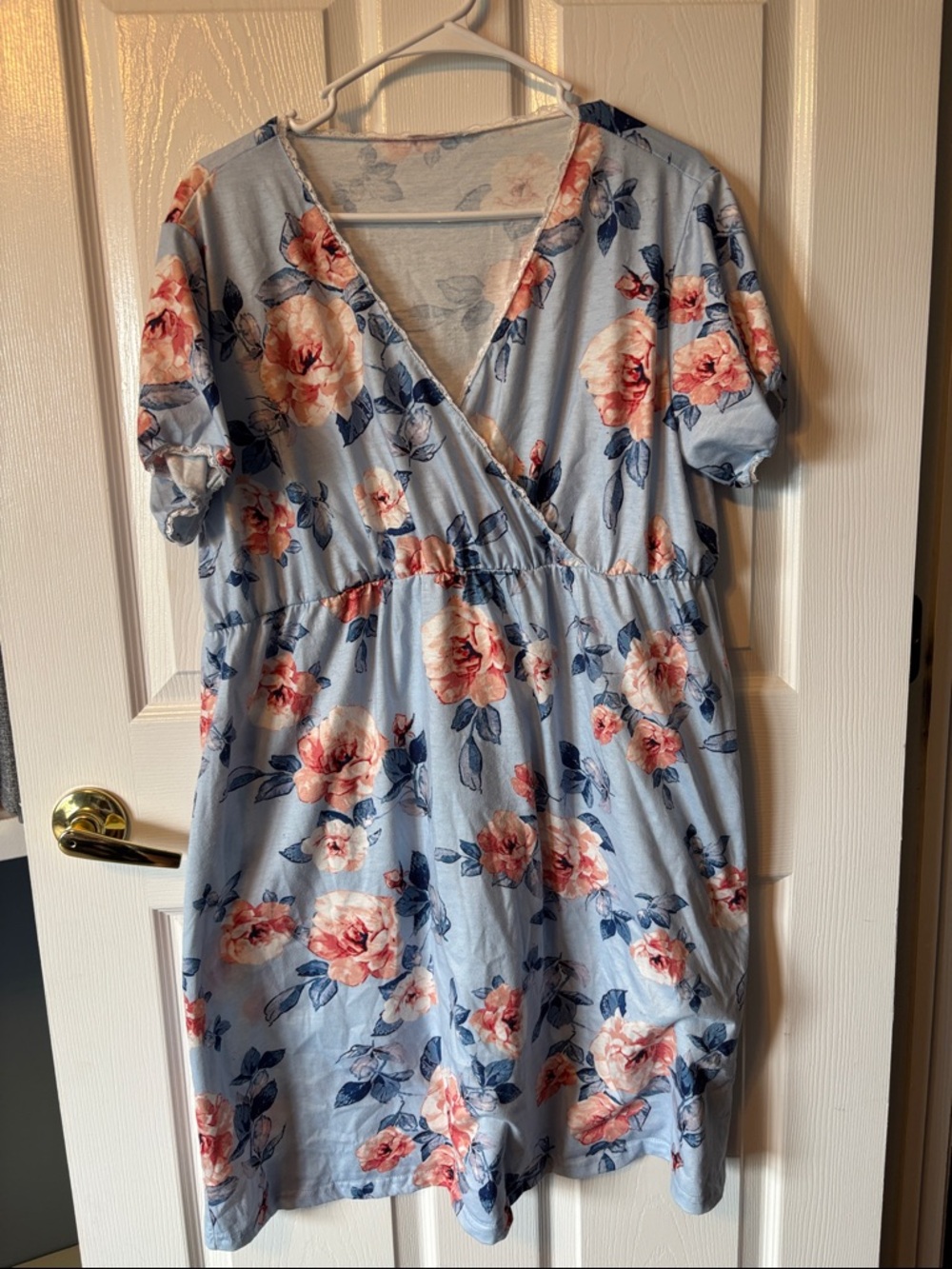 Light Blue Floral Nightgown with Pink Roses